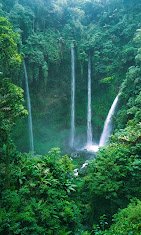 Air Terjun Tapaan Telu Tinoor